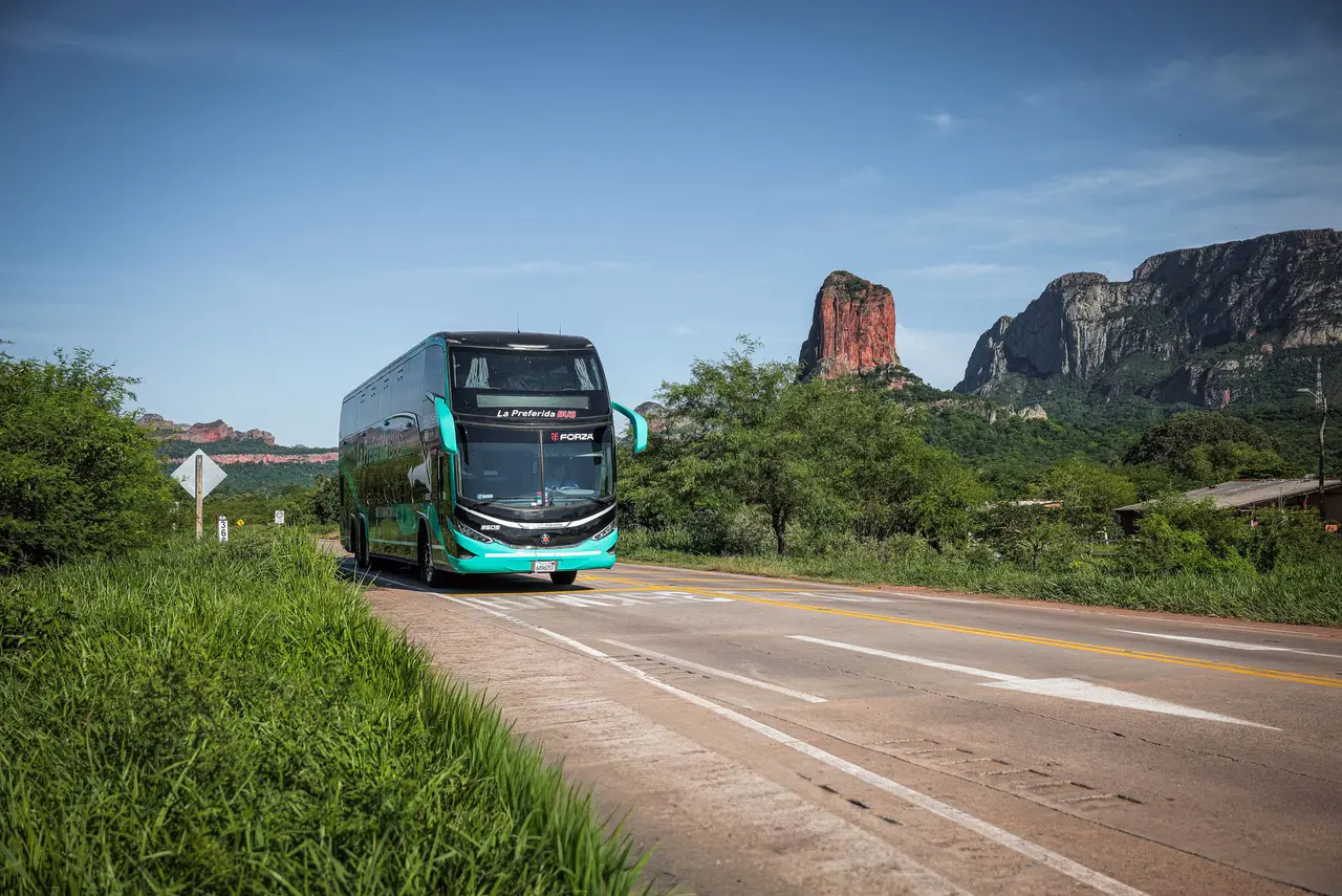 Buses Scania