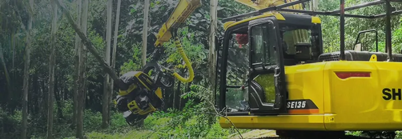 Forestal